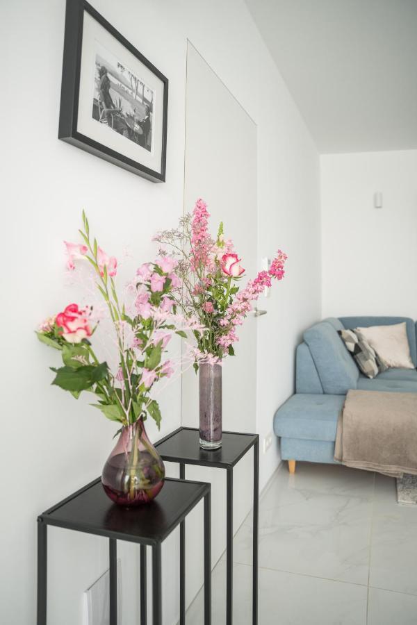 Blue Yvey Apartment Torhout Dış mekan fotoğraf
